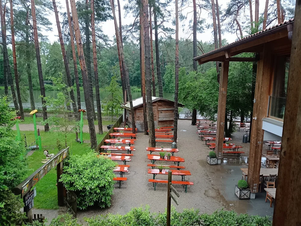 Biergarten der Birkenheide mit Bierbänken unter hohen Kiefern am See